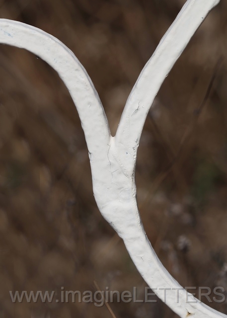 Wall_Art_Alphabet_Photography_Art_ 2538.jpg